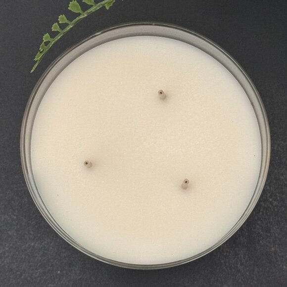 BBW Blue Sky Breeze Bath & Body Works 3 Wick Candle - Picture 7 of 10